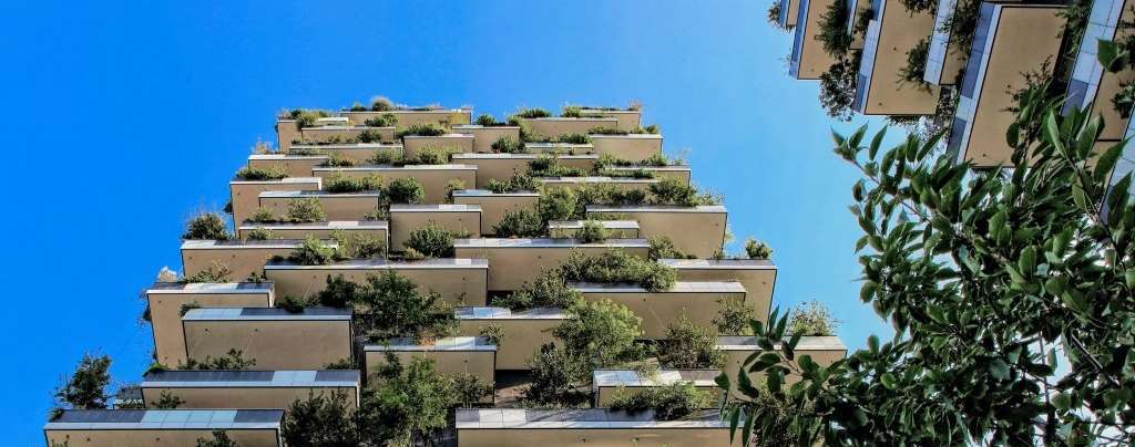 Urban greenery on buildings